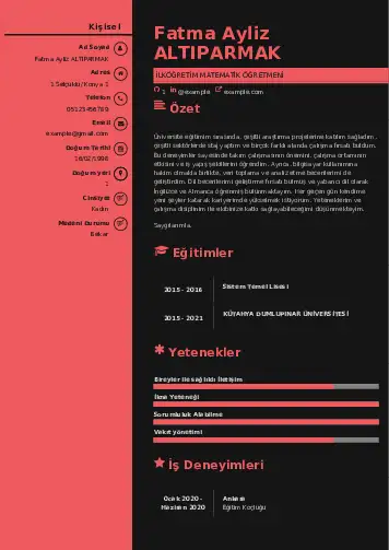 Matematik Öğretmeni Cv Örnekleri cv indir